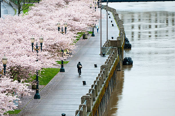 Preparing For Portland’s Spring Weather