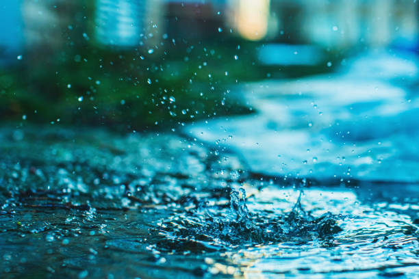 Install a sump pump and rain drains in your Portland’s home to prevent water damage and flooding issues