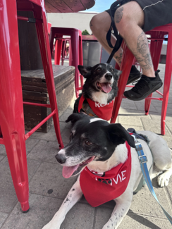 Canby Paw Crawl Event